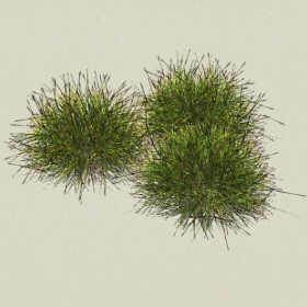 ��-Sketchup��ͼ��ʦEnscape����ģ��2022051162