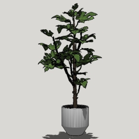 ����ֲ��_Sketchup��ͼ��ʦģ��Enscape����22020426547