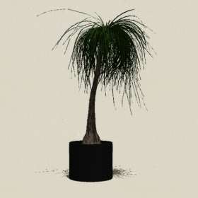 ����ֲ��-Sketchup��ͼ��ʦEnscape����ģ��20220511171