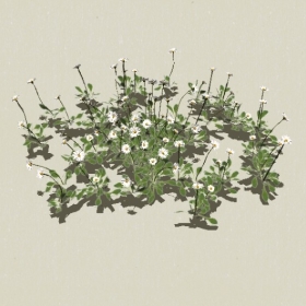 ����-Sketchup��ͼ��ʦEnscape����ģ��20220511115