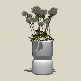 ����ֲ��-Sketchup��ͼ��ʦEnscape����ģ��20220511164