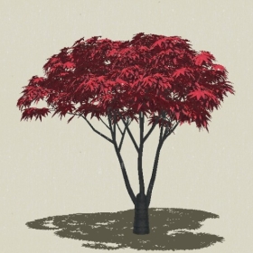 ��ľ-Sketchup��ͼ��ʦEnscape����ģ��20220511173