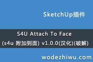 S4U Attach To Face (s4u ӵ) v1.0.0()(ƽ)