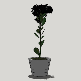 ����ֲ��_Sketchup��ͼ��ʦģ��Enscape����22020426497