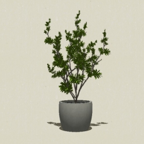 ����ֲ��-Sketchup��ͼ��ʦEnscape����ģ��20220511192