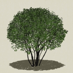 ��ľ-Sketchup��ͼ��ʦEnscape����ģ��2022051145