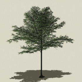 ��ľ-Sketchup��ͼ��ʦEnscape����ģ��2022051135