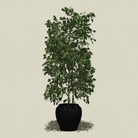 ����ֲ��-Sketchup��ͼ��ʦEnscape����ģ��20220511167