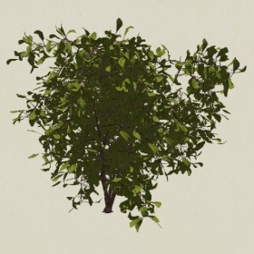 ��ľ-Sketchup��ͼ��ʦEnscape����ģ��20220511132