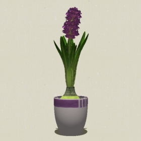 ����ֲ��-Sketchup��ͼ��ʦEnscape����ģ��20220511246