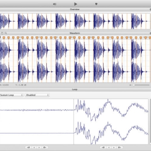 Loop Editor 2.1.3 绿化版 Mac 音频编辑软件