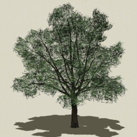 ��ľ-Sketchup��ͼ��ʦEnscape����ģ��20220511148