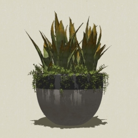 ����ֲ��-Sketchup��ͼ��ʦEnscape����ģ��2022051128