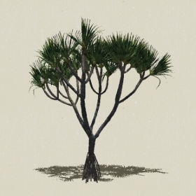 ��ľ-Sketchup��ͼ��ʦEnscape����ģ��2022051152