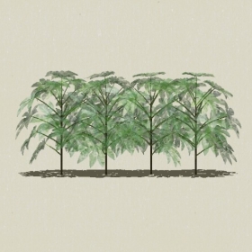 ��ľ-Sketchup��ͼ��ʦEnscape����ģ��2022051133