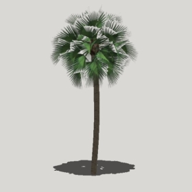 ���ֲ��_Enscape���ʲ�ͼ��ʦģ���������202204205580