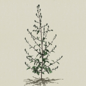 ��-Sketchup��ͼ��ʦEnscape����ģ��2022051187