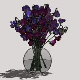 ����_Sketchup��ͼ��ʦģ��Enscape����22020426346