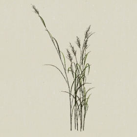 ��-Sketchup��ͼ��ʦEnscape����ģ��20220511125