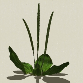 ��-Sketchup��ͼ��ʦEnscape����ģ��2022051194