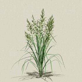 ����-Sketchup��ͼ��ʦEnscape����ģ��2022051128