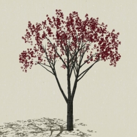 ��ľ��ľ-Sketchup��ͼ��ʦEnscape����ģ��2022051178