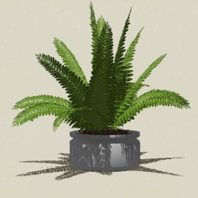 ����ֲ��-Sketchup��ͼ��ʦEnscape����ģ��2022051114