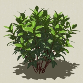 ��ľ-Sketchup��ͼ��ʦEnscape����ģ��2022051114