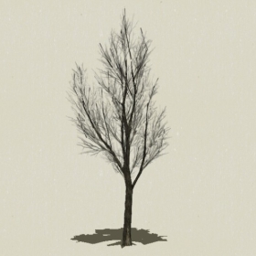 ��ľ-Sketchup��ͼ��ʦEnscape����ģ��2022051155