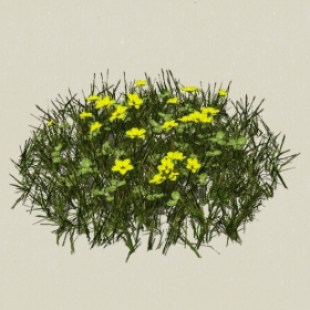 ����-Sketchup��ͼ��ʦEnscape����ģ��2022051155