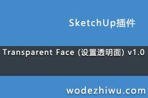 Transparent Face (͸) v1.0
