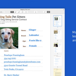 Notability for mac 1.7.0 使笔记和注释容易 最新绿化 免费下载