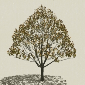 ��ľ-Sketchup��ͼ��ʦEnscape����ģ��20220511179