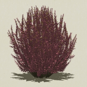 ��ľ-Sketchup��ͼ��ʦEnscape����ģ��2022051130