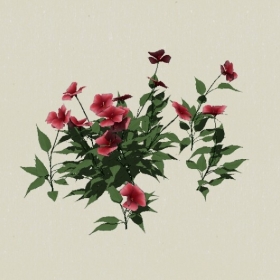 ����-Sketchup��ͼ��ʦEnscape����ģ��20220511108