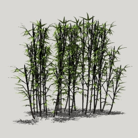 ����_Enscape���ʲ�ͼ��ʦģ���������202204204993