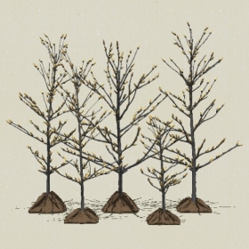 ��ص�-Sketchup��ͼ��ʦEnscape����ģ��2022051172