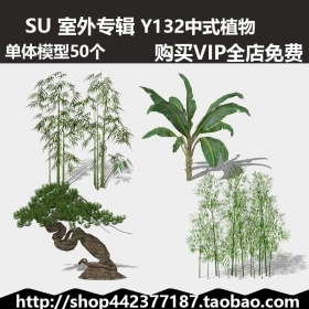 老徐sketchup SU模型库 中式植物 skp 50个 Y132