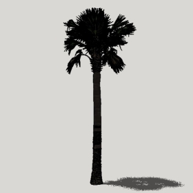 ���ֲ��_Enscape���ʲ�ͼ��ʦģ���������202204205558