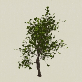 ��ľ-Sketchup��ͼ��ʦEnscape����ģ��2022051174