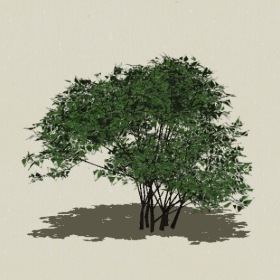 ��ľ-Sketchup��ͼ��ʦEnscape����ģ��2022051148