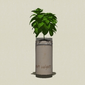 ����ֲ��-Sketchup��ͼ��ʦEnscape����ģ��2022051195