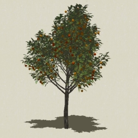 ��ľ��ľ-Sketchup��ͼ��ʦEnscape����ģ��2022051157