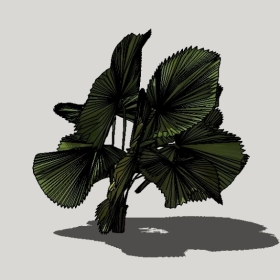 ���ֲ��_Enscape���ʲ�ͼ��ʦģ���������202204205555