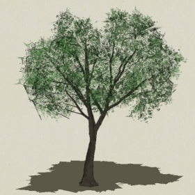 ��ľ-Sketchup��ͼ��ʦEnscape����ģ��2022051179