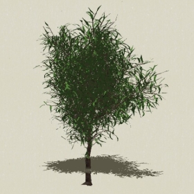 ��ľ-Sketchup��ͼ��ʦEnscape����ģ��2022051194