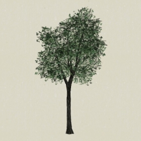 ��ľ-Sketchup��ͼ��ʦEnscape����ģ��2022051152