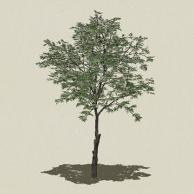 ��ľ-Sketchup��ͼ��ʦEnscape����ģ��2022051125