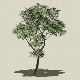 ��ľ-Sketchup��ͼ��ʦEnscape����ģ��2022051142