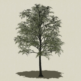 ��ľ-Sketchup��ͼ��ʦEnscape����ģ��2022051119